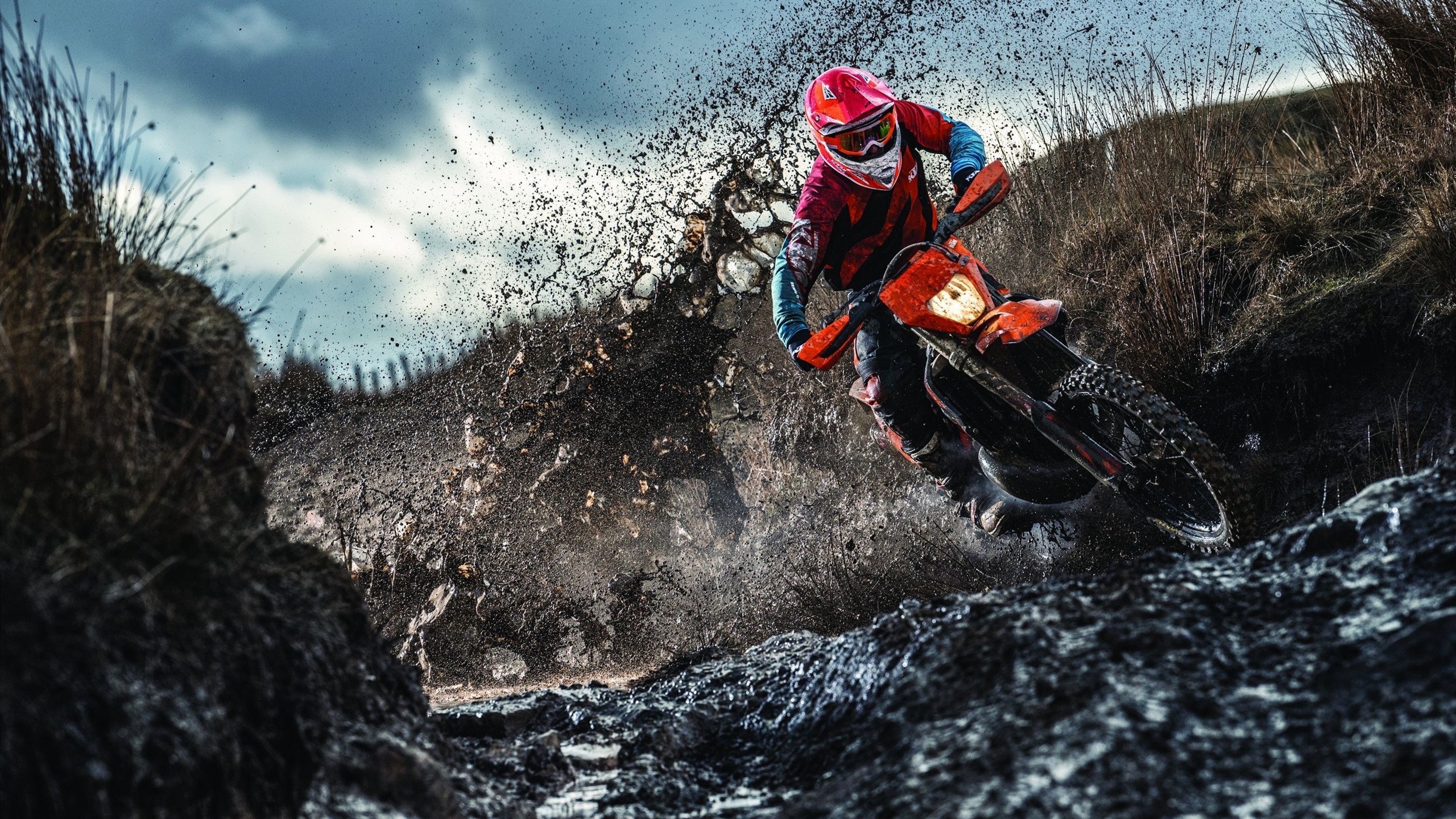 女子篮球职业联赛季后赛，争夺激烈一触即发，女子篮球赛事