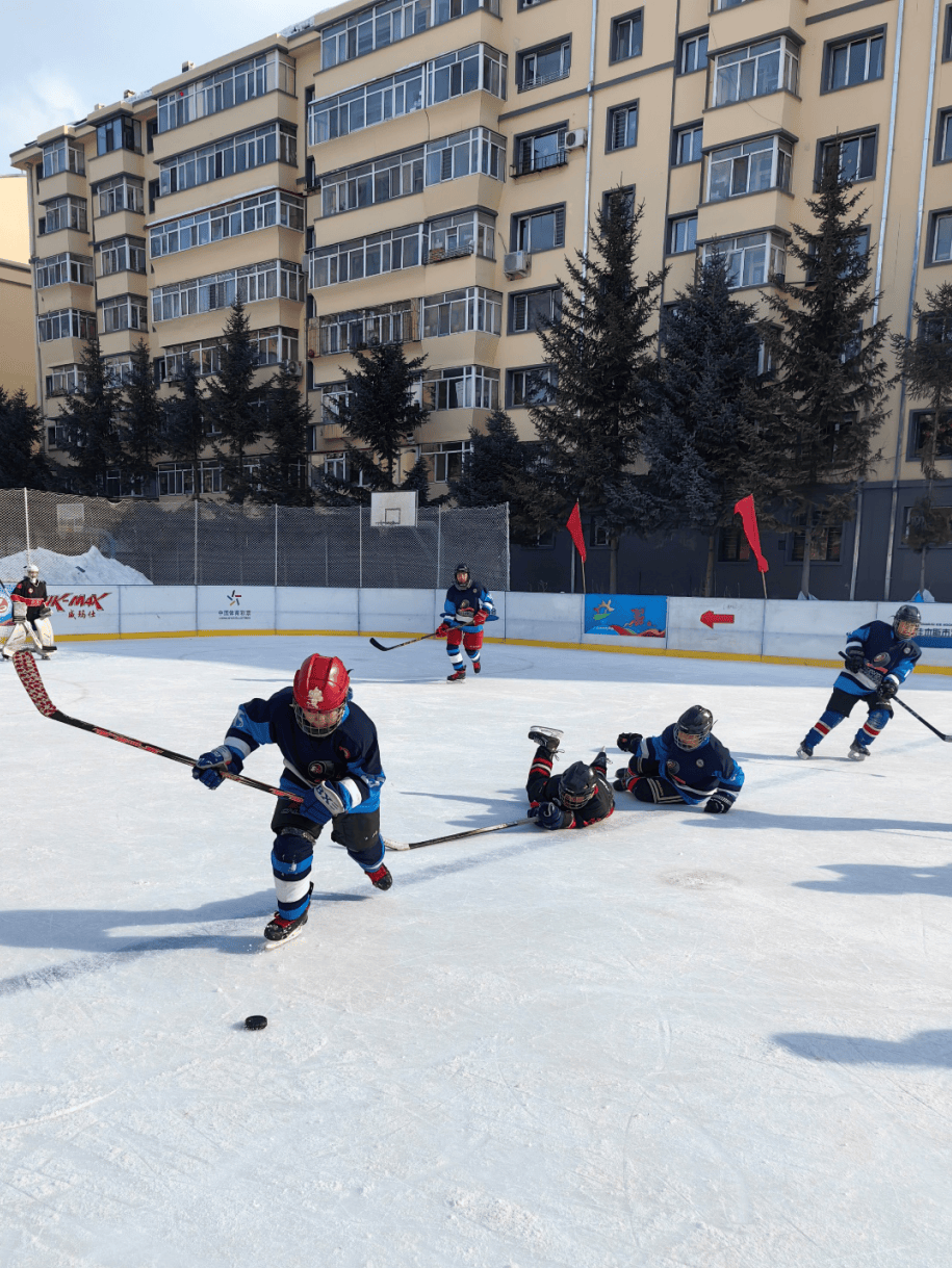 九游体育在线-“青少年冰球联赛：培养未来运动员的沃土！”