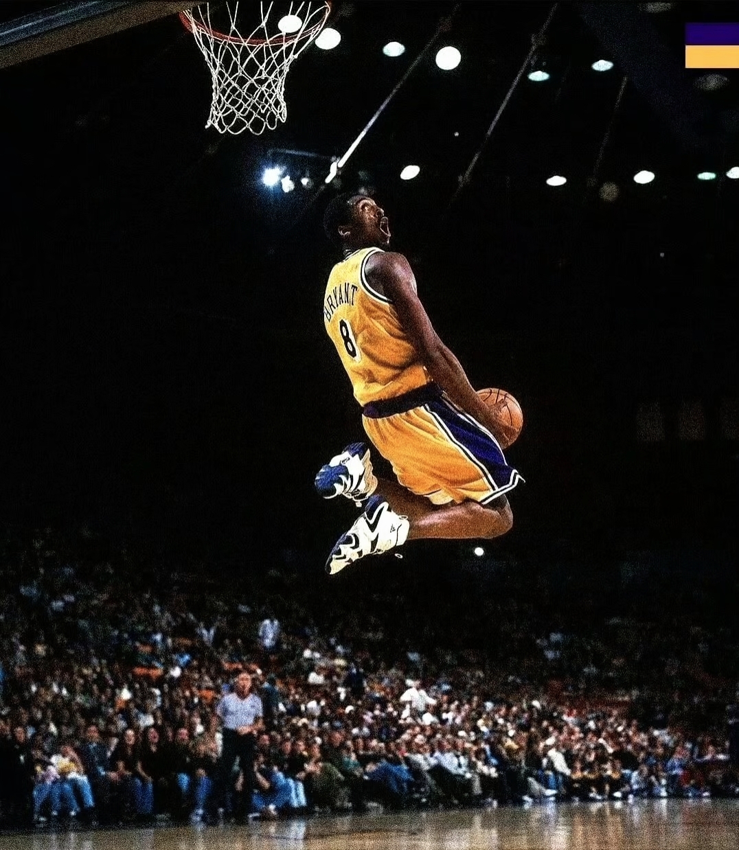 关于科比81分17周年,布克致敬单场60+的信息 关于科比81分17周年,布克致敬单场60+的信息